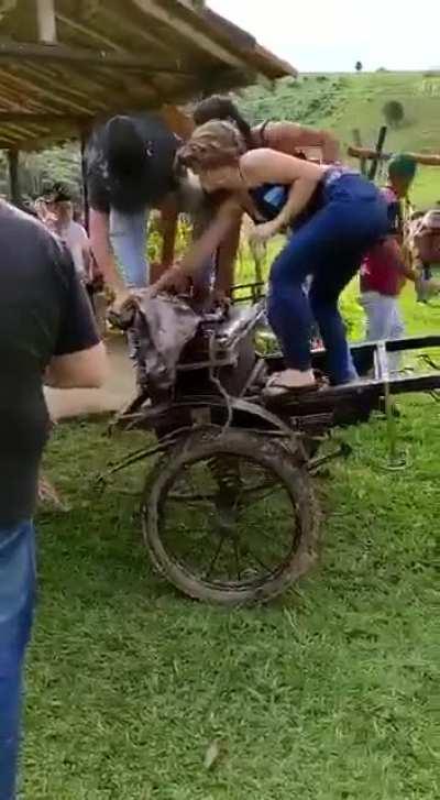 Dancing in a cart that's attached to a horse. Hmm.. I wonder what the prize will be.