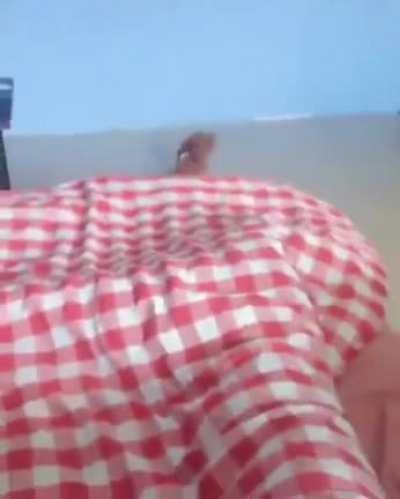 Нехорошее предчувствие