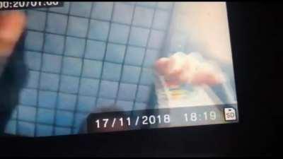 based pokemon card review