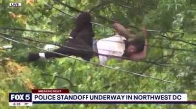 To evade police in NW DC, a man traverses power lines in the Brightwood Park neighborhood, more than an hour after firing a gun from a nearby rooftop.