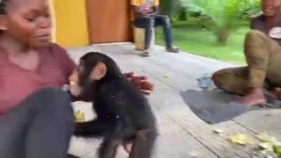 Bananas and gratitude 🍌