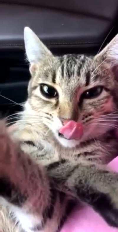 Hold my wait never mind