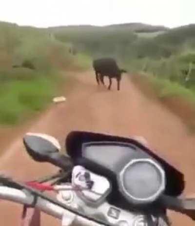 I'm on a dirt road, nobody around, what could possibly go wrong?