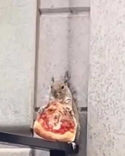 The wretched beast consumes it's meal