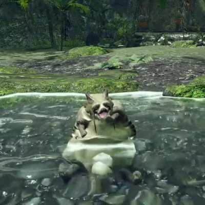 Bombadgy endemic life