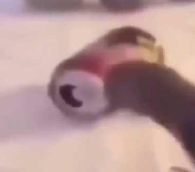 Bird does not support coke or it’s derivatives