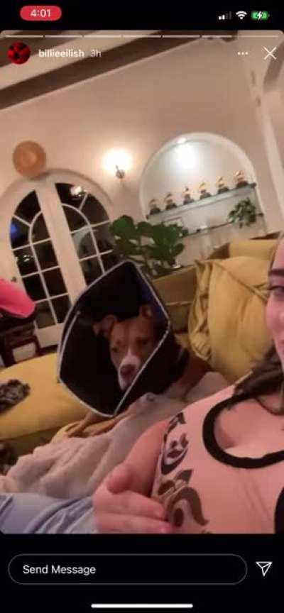 CAN YOU PLEASE MAKE AN ONLYFANSSSSSSS GODDAMN BABYYYYY 🤣🤣😂😂