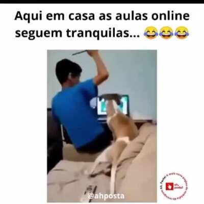 E as aulas on line seguem normal kkkk