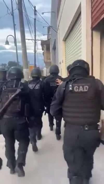 Cuando te llevan a farmear los lvl max