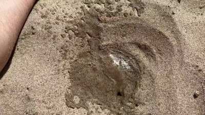 Playing & Pissing on the Beach