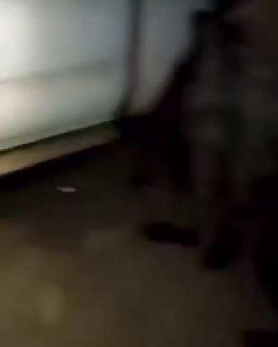 👶🏻 &ldquo;Pa la Cha🍕&rdquo;