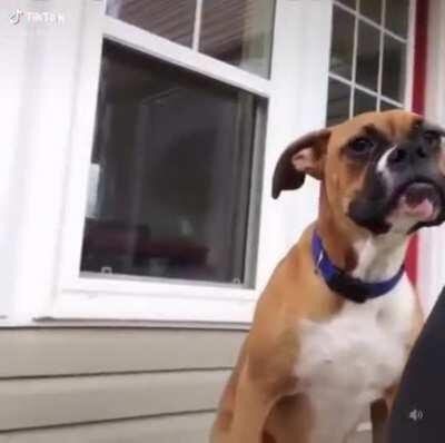 Not sure if this fits here, but I can&rsquo;t stop watching it.