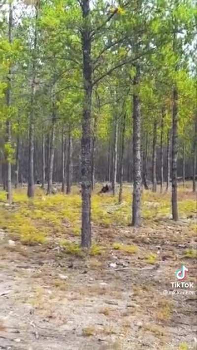 The fucking size of that thing...