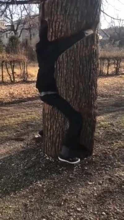 Almost as satisfying as it is terrifying