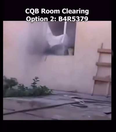 Room clearing in insurgency be like
