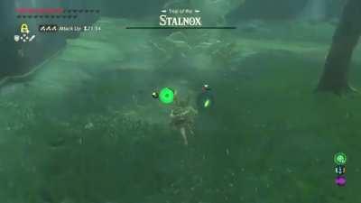 [BOTW] Crying my eyeballs out. Pulled out the sword for ONE second…