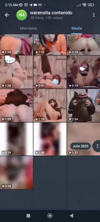 todo el contenido de la warensitaArsmate  
