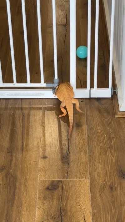 She does not have the community braincell today