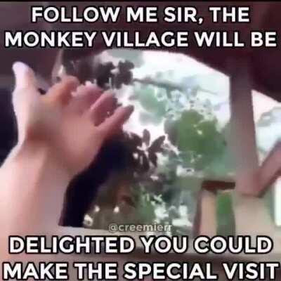 Monke village
