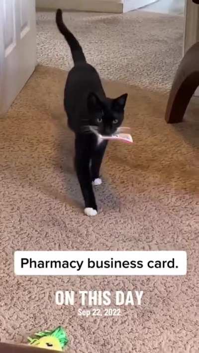 I have to pick up the mail myself now.