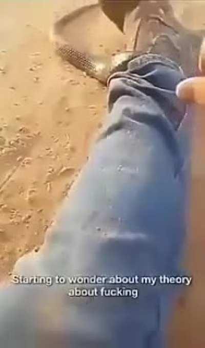 Очередной астралийский, хтонический 3,14здец...