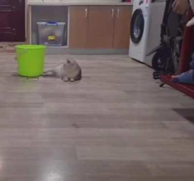 This remains one of my favorites