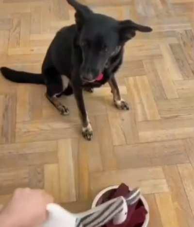 A mAn PoIsOnEd A lLaMa AnD TrIeS wItH hIs DoG