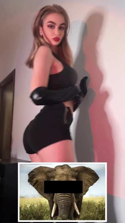 If you can guess the animal below, I wont ask to jerk you off with these ugly gloves