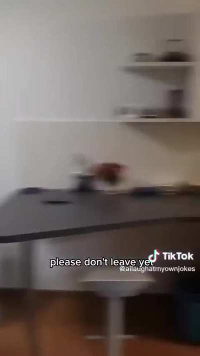 Losercity girlfriend kills the cameraman