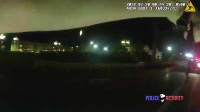 Cop Gets chased with a Axe