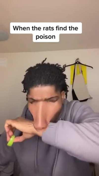 When the rats get to the poisoned cheese.