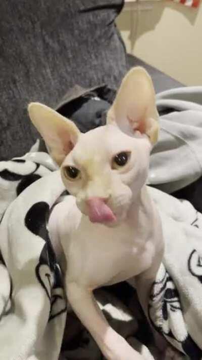 When ur licking ur chops looking at the NOOB lobby coming up..