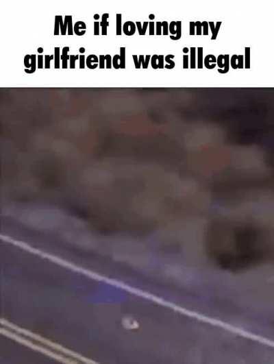 YOU'LL NEVER CATCH ME ROOMBA!!!!