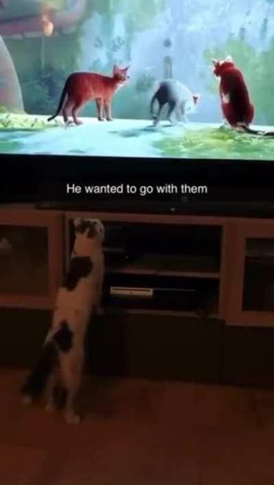 He thought he was in the scene