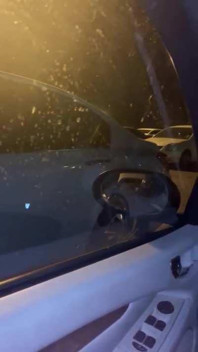 Parking Lots are made for head