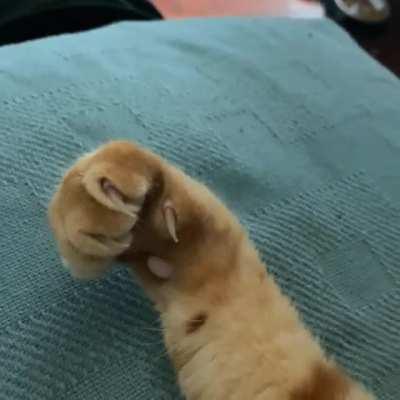 so peaceful to watch