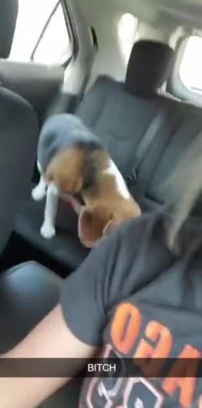 Everyone loves hash browns