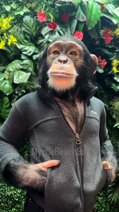 bandar kya jaane adrak ka swad