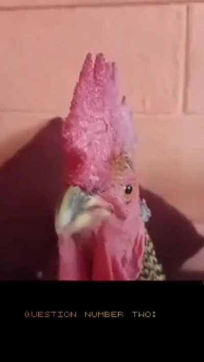 Do you like hurting people?