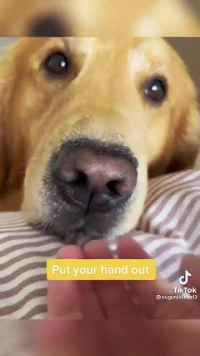 He has present for you