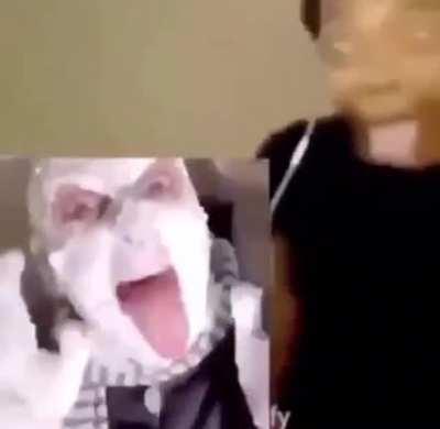 Not mine just putting this here