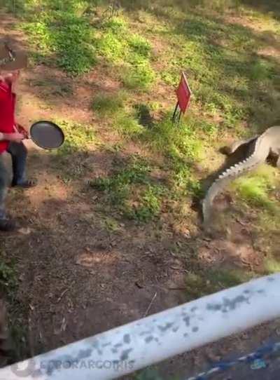 how it feels to live in australia