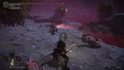 62 Vigor, 2k HP, got one shot by a single dog :/ (lost 200k runes)