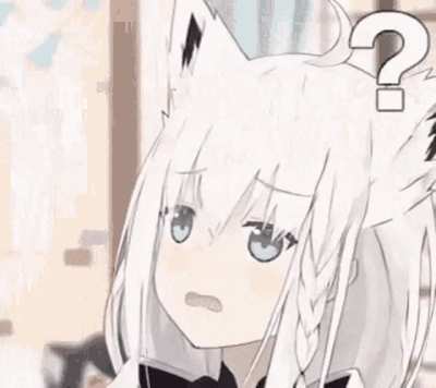 JP Niki trying to figure out what the hell 