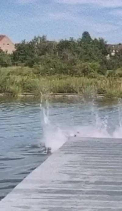 An Sonny herangezoomt