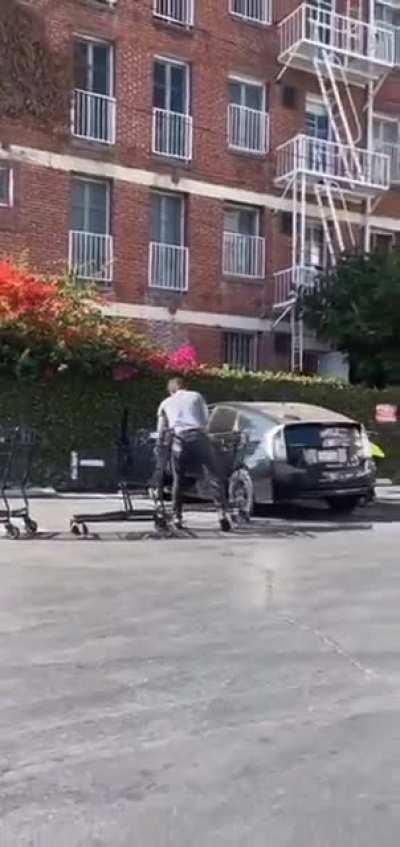 Retail Parking cop, the summoner of shopping carts