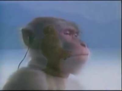 What it feels like listening to Dany's ADWD chapters