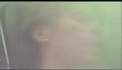 Me in the theater dehydrated as hell because I didn’t drink anything for two days so I wouldn’t have to pee during NWH