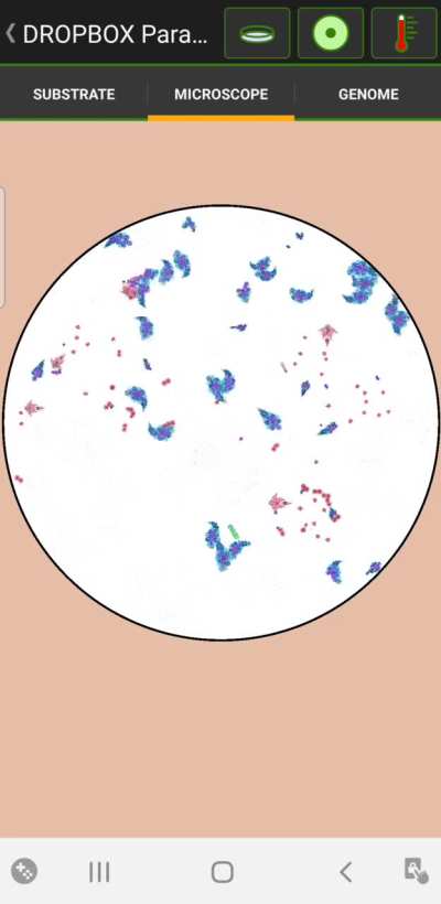 CellLab - Video #6172