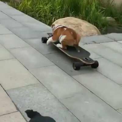 A good captain goes down with the ship.